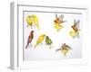 Birds: Passeriformes-null-Framed Giclee Print