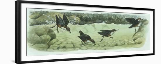 Birds: Passeriformes-null-Framed Premium Giclee Print