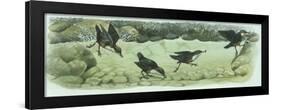 Birds: Passeriformes-null-Framed Giclee Print