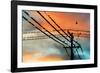 Birds perching on telephone lines at dusk, Tulsa, Oklahoma, USA-null-Framed Photographic Print