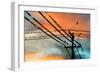 Birds perching on telephone lines at dusk, Tulsa, Oklahoma, USA-null-Framed Photographic Print