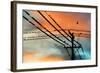 Birds perching on telephone lines at dusk, Tulsa, Oklahoma, USA-null-Framed Photographic Print