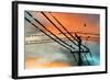 Birds perching on telephone lines at dusk, Tulsa, Oklahoma, USA-null-Framed Photographic Print