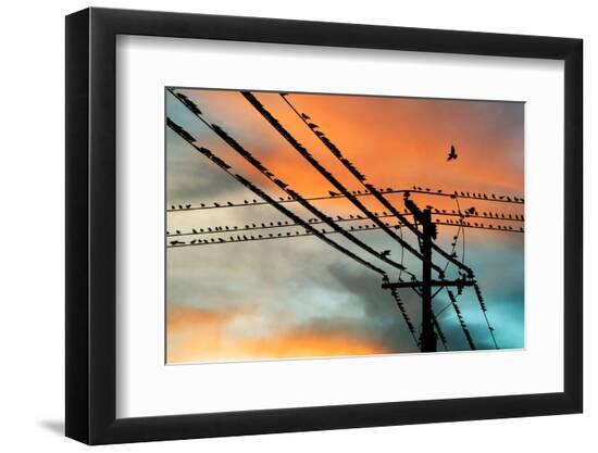 Photographic Print, , large