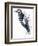 Birds: Piciformes, White-Backed Woodpecker (Dendrocopos Leucotos)-null-Framed Giclee Print