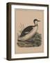 Birds, Plate VIII, 1855-null-Framed Giclee Print