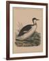 Birds, Plate VIII, 1855-null-Framed Giclee Print