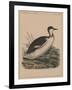 Birds, Plate VIII, 1855-null-Framed Giclee Print