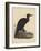 Birds, Plate X, 1855-null-Framed Giclee Print