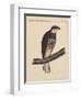 Birds, Plate XIII, 1855-null-Framed Giclee Print