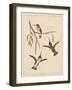 Birds, Plate XIX, 1855-null-Framed Giclee Print