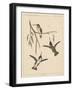 Birds, Plate XIX, 1855-null-Framed Giclee Print