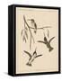 Birds, Plate XIX, 1855-null-Framed Stretched Canvas