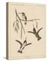 Birds, Plate XIX, 1855-null-Stretched Canvas