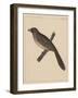 Birds, Plate XXX, 1855-null-Framed Giclee Print