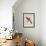 Birds, Plate XXX, 1855-null-Framed Giclee Print displayed on a wall