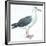 Birds: Procellariiformes, Black-Browed Albatross (Thalassarche Melanophrys)-null-Framed Giclee Print