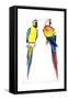 Birds: Psittaciformes, Blue-And-Yellow Macaw (Ara Ararauna) and Scarlet Macaw (Ara Macao)-null-Framed Stretched Canvas
