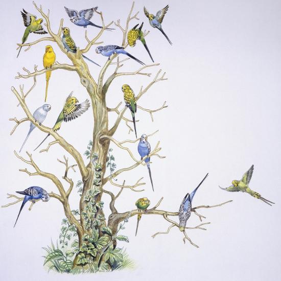 Giclee Print, , large