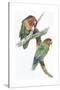 Birds: Psittaciformes, Couple of Fischer's Lovebird (Agapornis Fischeri) Feeding-null-Stretched Canvas