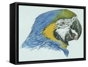 Birds: Psittaciformes, Head of Blue-And-Yellow Macaw (Ara Ararauna)-null-Framed Stretched Canvas