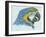 Birds: Psittaciformes, Head of Blue-And-Yellow Macaw (Ara Ararauna)-null-Framed Giclee Print