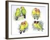 Birds: Psittaciformes-null-Framed Giclee Print