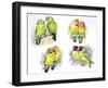 Birds: Psittaciformes-null-Framed Giclee Print