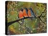 Birds Robins Family Portrait-Blenda Tyvoll-Stretched Canvas