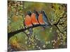 Birds Robins Family Portrait-Blenda Tyvoll-Mounted Art Print