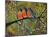 Birds Robins Family Portrait-Blenda Tyvoll-Mounted Art Print