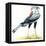 Birds: Secretary Bird-null-Framed Stretched Canvas