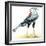 Birds: Secretary Bird-null-Framed Premium Giclee Print