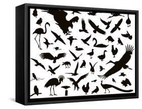 Birds Set-vadimmmus-Framed Stretched Canvas