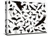 Birds Set-vadimmmus-Stretched Canvas
