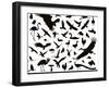 Birds Set-vadimmmus-Framed Art Print