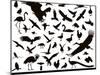 Birds Set-vadimmmus-Mounted Art Print