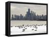 Birds Sit in Deep Snowdrifts at the Lake Shore Drive in Chicago-null-Framed Stretched Canvas
