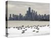 Birds Sit in Deep Snowdrifts at the Lake Shore Drive in Chicago-null-Stretched Canvas