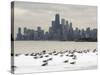 Birds Sit in Deep Snowdrifts at the Lake Shore Drive in Chicago-null-Stretched Canvas