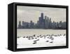 Birds Sit in Deep Snowdrifts at the Lake Shore Drive in Chicago-null-Framed Stretched Canvas