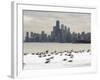 Birds Sit in Deep Snowdrifts at the Lake Shore Drive in Chicago-null-Framed Photographic Print