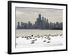 Birds Sit in Deep Snowdrifts at the Lake Shore Drive in Chicago-null-Framed Photographic Print