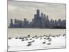 Birds Sit in Deep Snowdrifts at the Lake Shore Drive in Chicago-null-Mounted Photographic Print