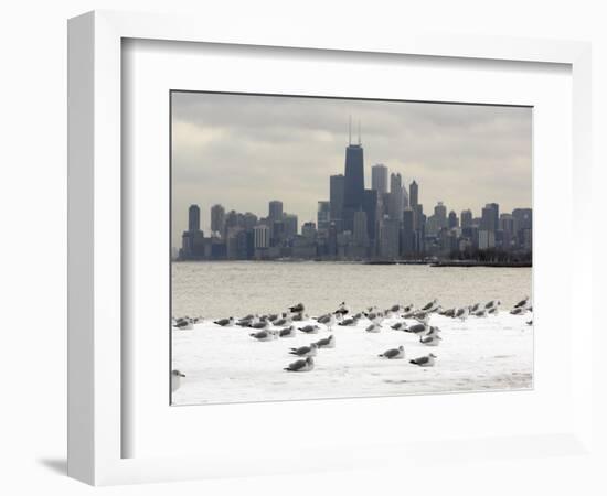 Birds Sit in Deep Snowdrifts at the Lake Shore Drive in Chicago-null-Framed Photographic Print