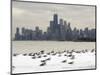 Birds Sit in Deep Snowdrifts at the Lake Shore Drive in Chicago-null-Mounted Photographic Print