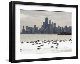 Birds Sit in Deep Snowdrifts at the Lake Shore Drive in Chicago-null-Framed Photographic Print