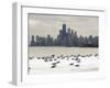 Birds Sit in Deep Snowdrifts at the Lake Shore Drive in Chicago-null-Framed Photographic Print