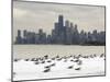 Birds Sit in Deep Snowdrifts at the Lake Shore Drive in Chicago-null-Mounted Photographic Print