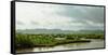 Birds taking flight along bank of Kaladan River, Rakhine State, Myanmar-null-Framed Stretched Canvas